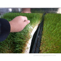 Vertical Farming Forage Grass Planting Vertical Farm hydroponic fodder container Manufactory